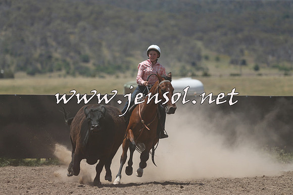 AdaminabyCampdraft2014_0476