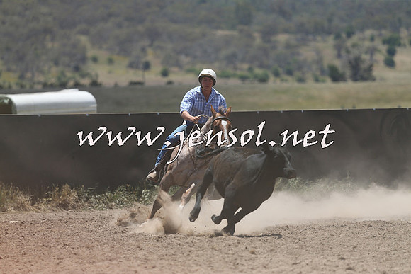 AdaminabyCampdraft2014_0222