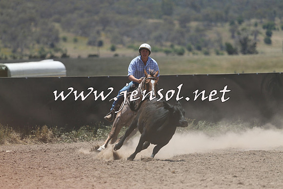 AdaminabyCampdraft2014_0223