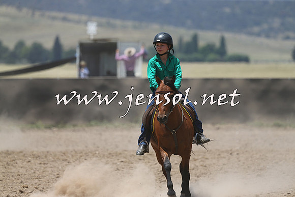 AdaminabyCampdraft2014_0408