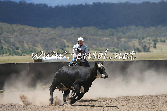 AdaminabyCampdraft2014_0452