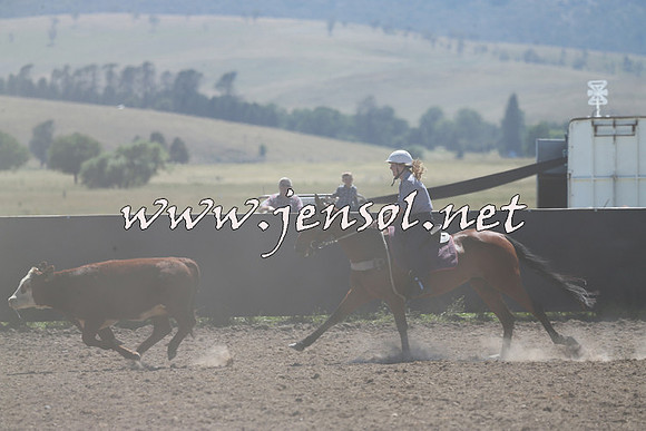 AdaminabyCampdraft2014_0890