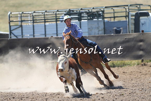 AdaminabyCampdraft2014_0865