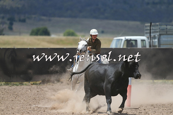 AdaminabyCampdraft2014_0410