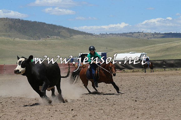 AdaminabyCampdraft2014_0395