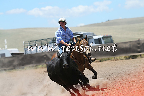 AdaminabyCampdraft2014_0140