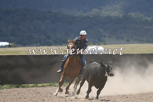 AdaminabyCampdraft2014_0192