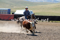 AdaminabyCampdraft2014_0842