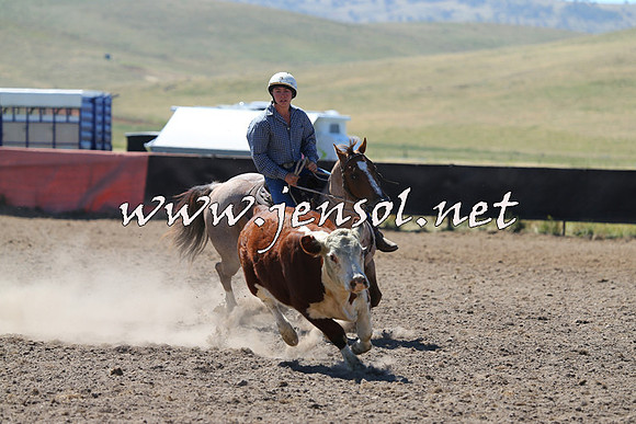AdaminabyCampdraft2014_0842
