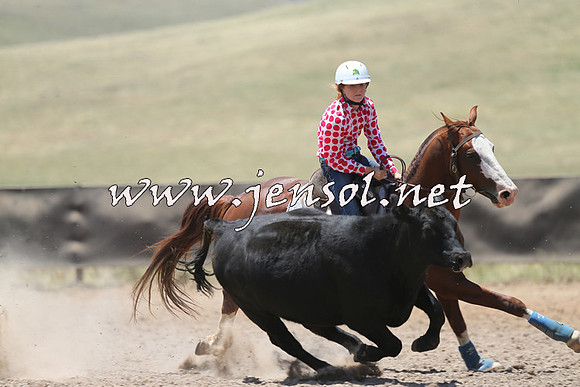 AdaminabyCampdraft2014_0159