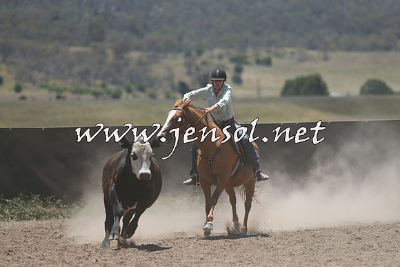 AdaminabyCampdraft2014_0241