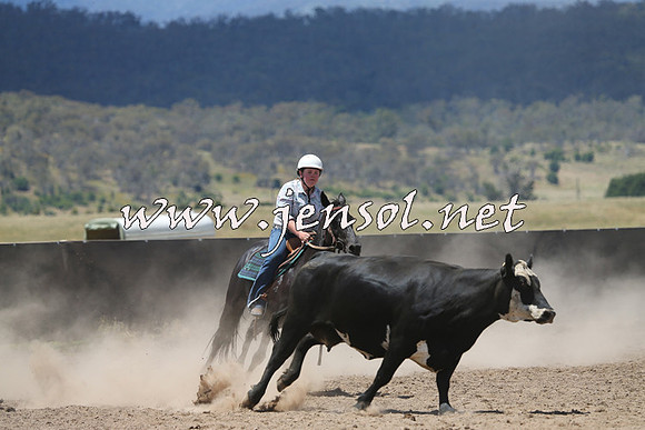 AdaminabyCampdraft2014_0451