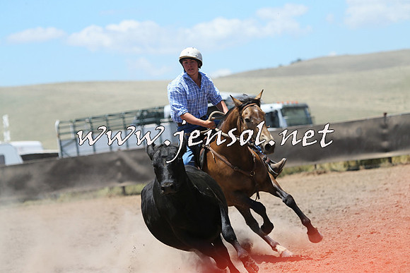 AdaminabyCampdraft2014_0141