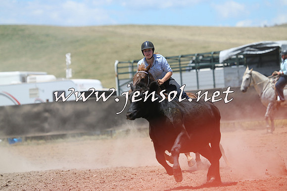 AdaminabyCampdraft2014_0203