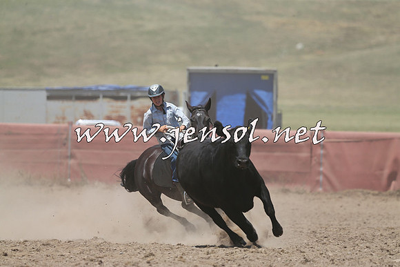 AdaminabyCampdraft2014_0465