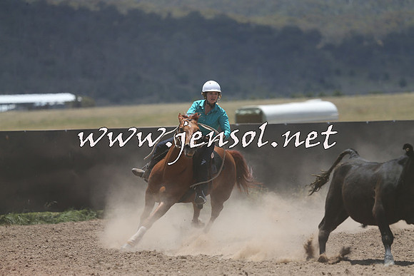 AdaminabyCampdraft2014_0185