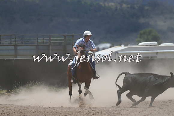 AdaminabyCampdraft2014_0169