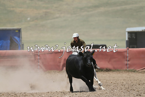 AdaminabyCampdraft2014_0414
