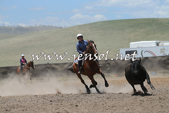 AdaminabyCampdraft2014_0180