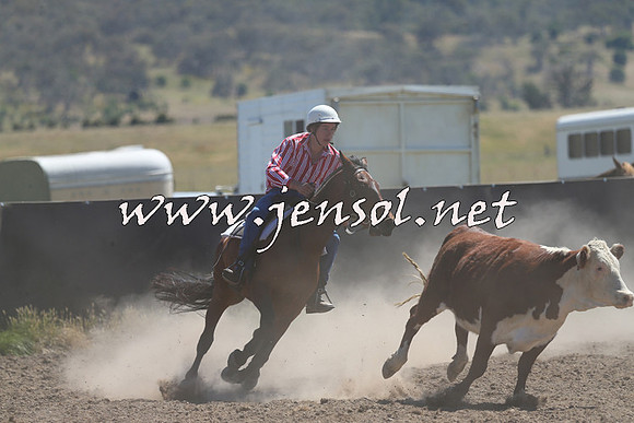 AdaminabyCampdraft2014_0909