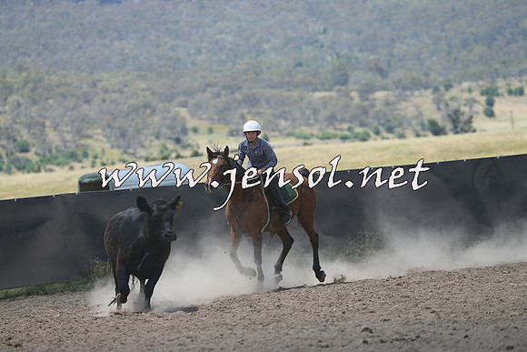 AdaminabyCampdraft2014_0473