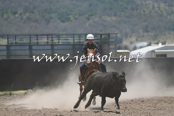 AdaminabyCampdraft2014_0149