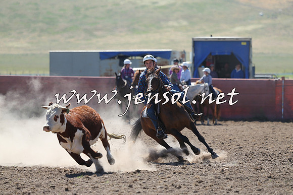 AdaminabyCampdraft2014_0837