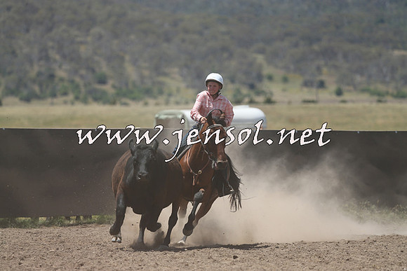 AdaminabyCampdraft2014_0477