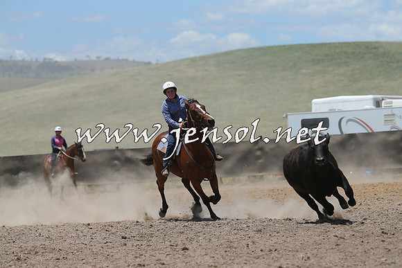 AdaminabyCampdraft2014_0181