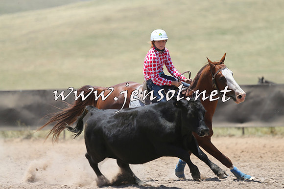 AdaminabyCampdraft2014_0158