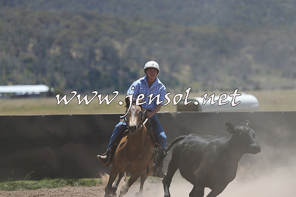 AdaminabyCampdraft2014_0137