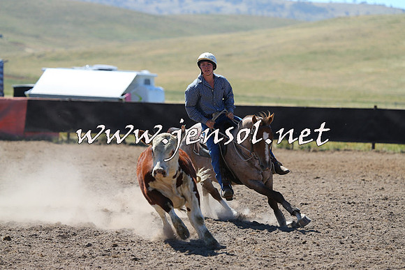 AdaminabyCampdraft2014_0841