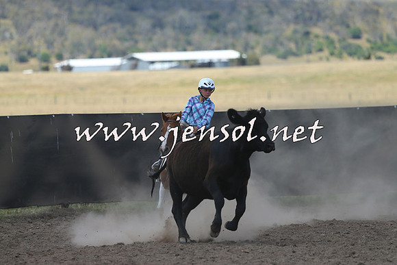 AdaminabyCampdraft2014_0508