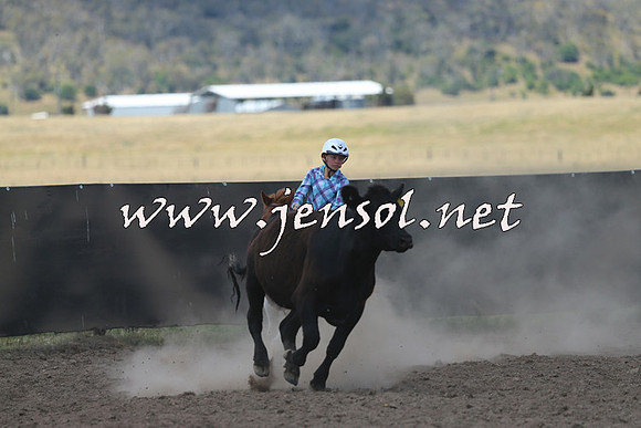AdaminabyCampdraft2014_0507