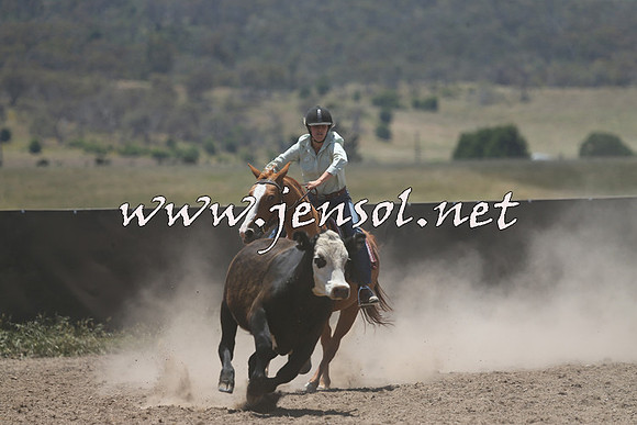 AdaminabyCampdraft2014_0237