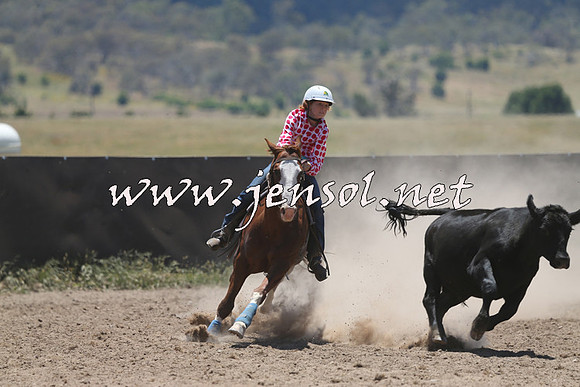 AdaminabyCampdraft2014_0153