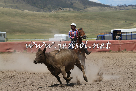 AdaminabyCampdraft2014_0501