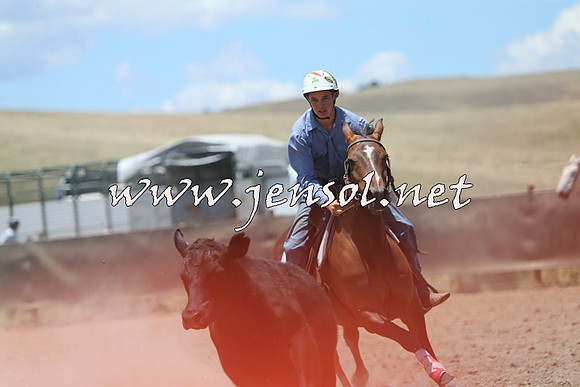 AdaminabyCampdraft2014_0218