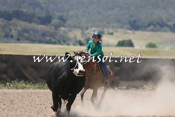 AdaminabyCampdraft2014_0390