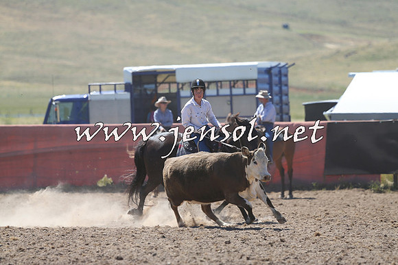 AdaminabyCampdraft2014_0855