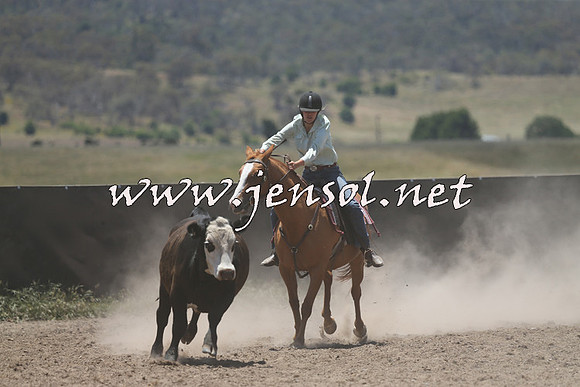 AdaminabyCampdraft2014_0240