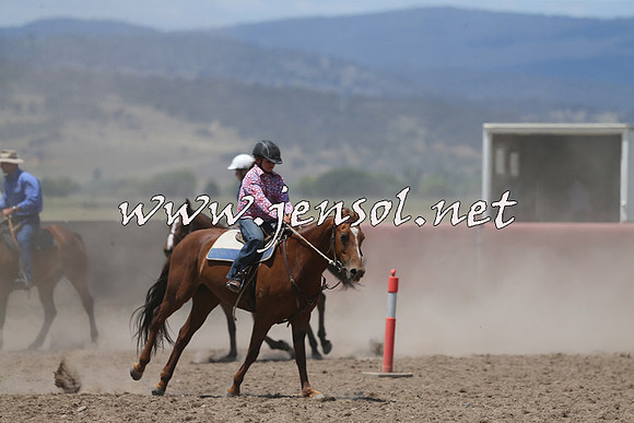 AdaminabyCampdraft2014_0443