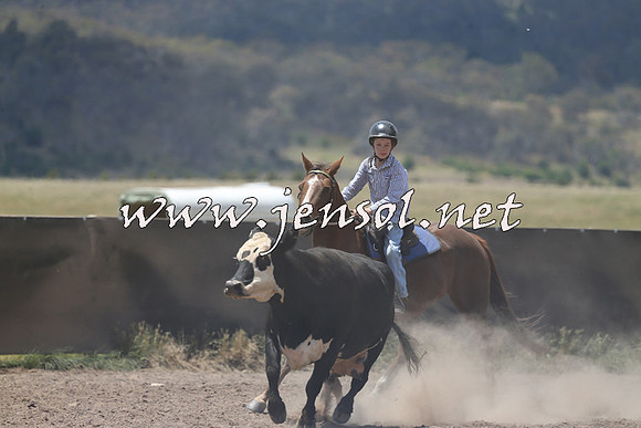 AdaminabyCampdraft2014_0418