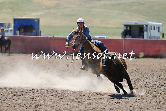 AdaminabyCampdraft2014_0893