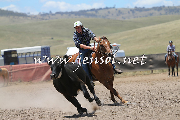 AdaminabyCampdraft2014_0197