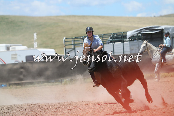 AdaminabyCampdraft2014_0204