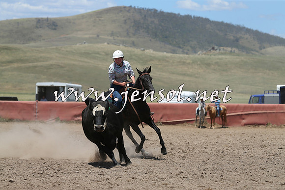 AdaminabyCampdraft2014_0458