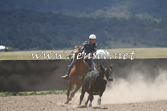 AdaminabyCampdraft2014_0193