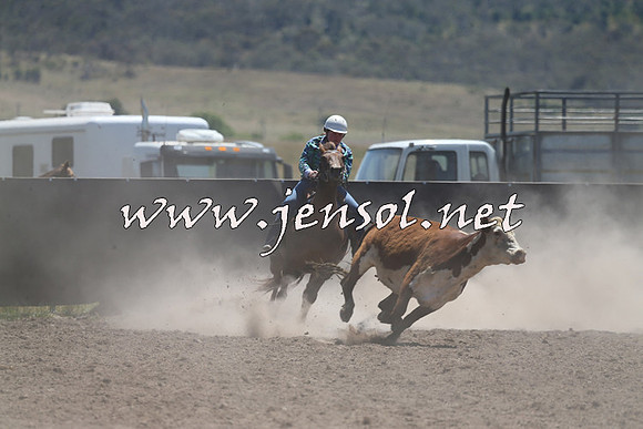 AdaminabyCampdraft2014_0931
