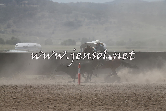 AdaminabyCampdraft2014_0209